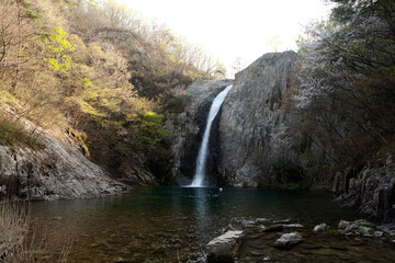 Poster - spring scene of a waterfall