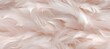 Feather fur texture background. Generative AI technology.	
