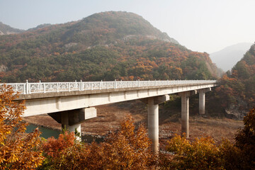 Poster - bridge over the river