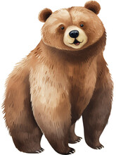 Cartoon Brown Bear Isolated On Transparent Background