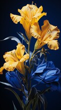 Sapphire Blue Gentian Flower, Strikingly Isolated On A Canary Yellow Canvas.