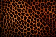 leopard print fur pelt background 