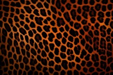 Leopard Print Fur Pelt Background 