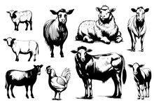 Farm Animals Collection Illustration Drawing Style, Sketch