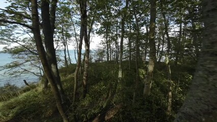 Wall Mural - FPV drone flying through trees in woodland on mountain overlooking picturesque seascape against sky 