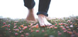 © bagotaj - A young man walking barefoot.in a meadow full of flowers Close-up photograph of the lower leg and bare feet trampling in the grassy ground.
