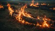A Fiery Blaze Engulfs the Expansive Field