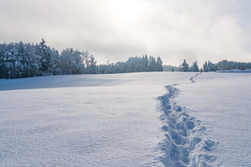 Wall Mural - Snowy and beautiful winter landscape in Alttann in Upper Swabia