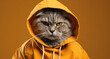 Serious gray cat with captivating yellow eyes cloaked in a yellow hoodie, set against a monochrome background.