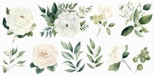 Water Color Floral Illustration Set. White Flowers, Green Leaves Individual Elements Collection. Rose, Peony, Eucalyptus. For Bouquets, Wreaths, Wedding Invitations, Anniversary, Generative AI