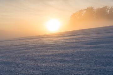 Canvas Print - Snowy and beautiful winter landscape in Wolfegg in Upper Swabia