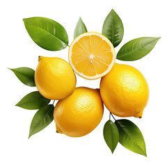 Poster - Citrus fruit, yellow lemons with leaf isolated on white background