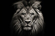 Portrait of a Lion in Black and White --ar 3:2 --v 5.2 Job ID: d64f100f-1f3c-4f5e-aa7a-8d6c96166830