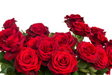 Bouquet Of Dark  Red Roses  Close Up