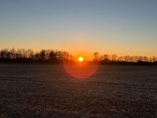 Wall Mural - sunset over the field