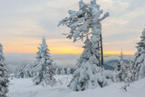 Fototapeta Fototapety na ścianę - Zimowy, zmrożony, biały las pełen śniegu w górach w Karkonoszach, o zachodzie słońca