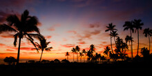 A Colorful Sky Illuminated By A Sun Sitting On The Horizon Creates A Silhouette Of Palm Trees Lining A Quiet Bay