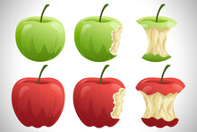 Apple Green Red Apples Flat Design Illustration Set Vector Collection