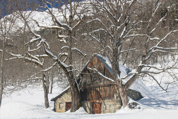 Poster - grange au milieu de la montagne dans la neige