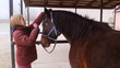 © Tatsiana - Close-up of a stable girl combing the mane of a brown horse