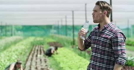 Wall Mural - Man, drinking water on farmer field agriculture on hot day or working, sustainable greenhouse or organic food harvest. Male person, cold beverage for crop plant teamwork, environment or farming job