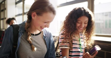 Sticker - School, friends and students walking in corridor for talking, conversation and discussion on campus. Education, diversity and happy girls in hallway for learning, studying and knowledge for class