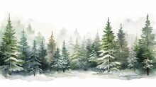 Hand drawn watercolor coniferous forest illustration, spruce. Winter nature, holiday background, conifer, snow, outdoor, snowy rural landscape.Mysterious fir or pine trees for winter Christmas design.