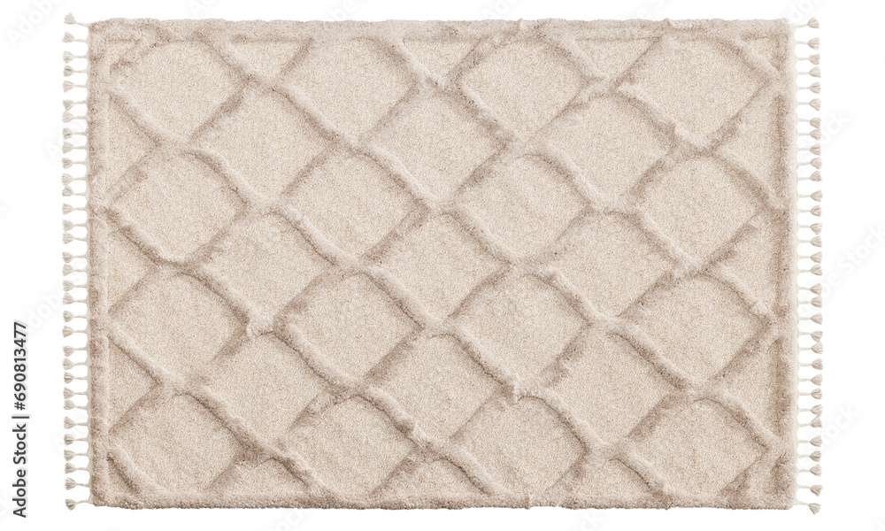 Modern rug with long pile and braids. 3d render Stock Illustration ...