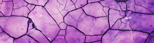 A Purple Cracked Ground