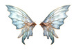 Fairy Wings Isolated on Transparent Background
