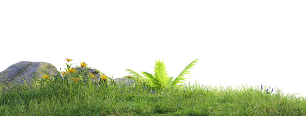 Aufkleber - grass field with rock stone PMG transparent, 3d illustration rendering