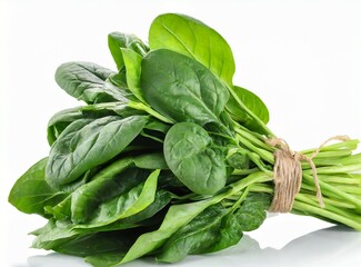 Fresh organic spinach bundle isolated on white background