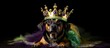 Owner crowning Mardi Gras dog.