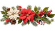 クリスマスや冬の装飾を連想させるポインセチアとベリー、松ぼっくりのデザイン（背景透明）