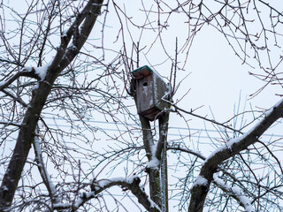 Birdhouse between branches of apple tree in winter. Bird house made by human hands