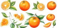 Mandarin Fruits, Flowers, Leaves Watercolor Illustration. Set Of Whole, Cut In Half, Sliced On Pieces Fresh Mandarins, Twisted Peel Isolated On White. Vibrant Juicy Ripe Citrus Collection,GenerativeAI