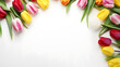 Tulips on a pure white background, valentine's day, easter, birthday, happy women's day, mother's day, flat lay, top view, copy space
