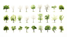 Set Of Green Trees Isolated On White Background