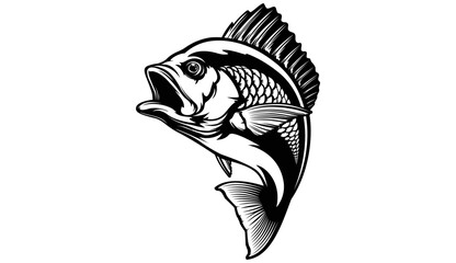 Wall Mural - Red snapper isolated vector illustration. Fishing logo of red snapper. Fishing emlem for company or sport club. Marine theme background. NOT AI.