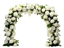 Beautiful White Rose Flowers In A Big Arch Isolated On Transparent Background