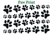 Paw Print Vector Background