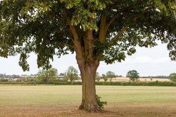 Canvas Print - Bidford-on-Avon , Warwickshire, England