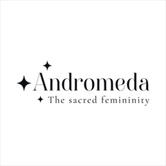 Stellar Star Logo Andromeda Minimal Concept. Black Option. Variant-01