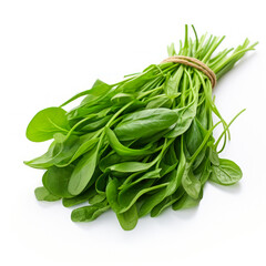 Wall Mural - Fresh Spinach bunch on white background.