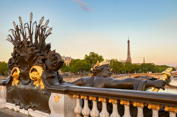 Wall Mural - Early morning at Alexander III bridge, Paris