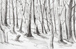Forest drawing with a pen. Horizontal drawing by hand on paper. Black and white illustration of a landscape with a river and trees. Handmade author's work. The concept of the beauty of nature. Sketch