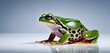  a green and black frog sitting on top of a white table next to a blue wall with a reflection of the frog on it's side.
