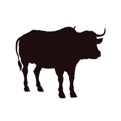 Wall Mural - silhouette of a bull