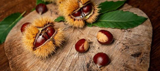 Wall Mural - Sweet Chestnuts - Castanea sativa on an old wooden table