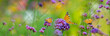 The panoramic view the garden flowers and butterflies Vanessa cardui